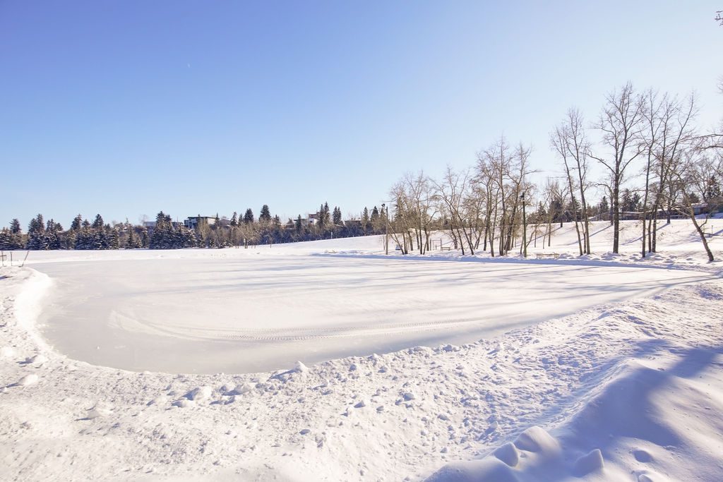 Mission Calgary rink